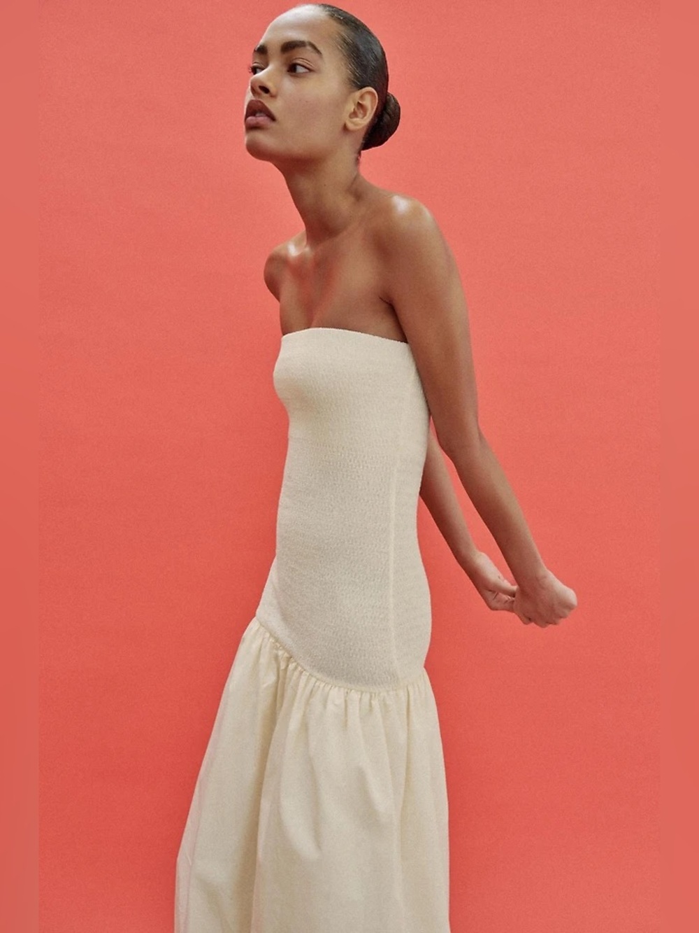 Zara Strapless Dress NWT